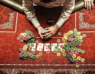 92y森林舞会怎么下-92y森林舞会下载指南，畅享自然韵律与数字娱乐的融合